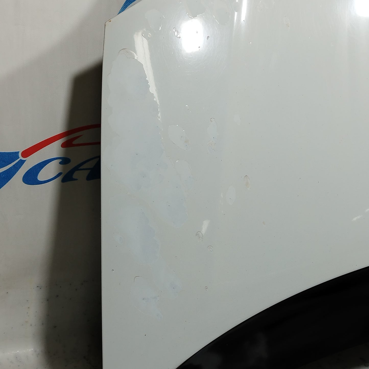 Weiße Motorhaube Fiat Punto Evo 2012 ecoAC10010