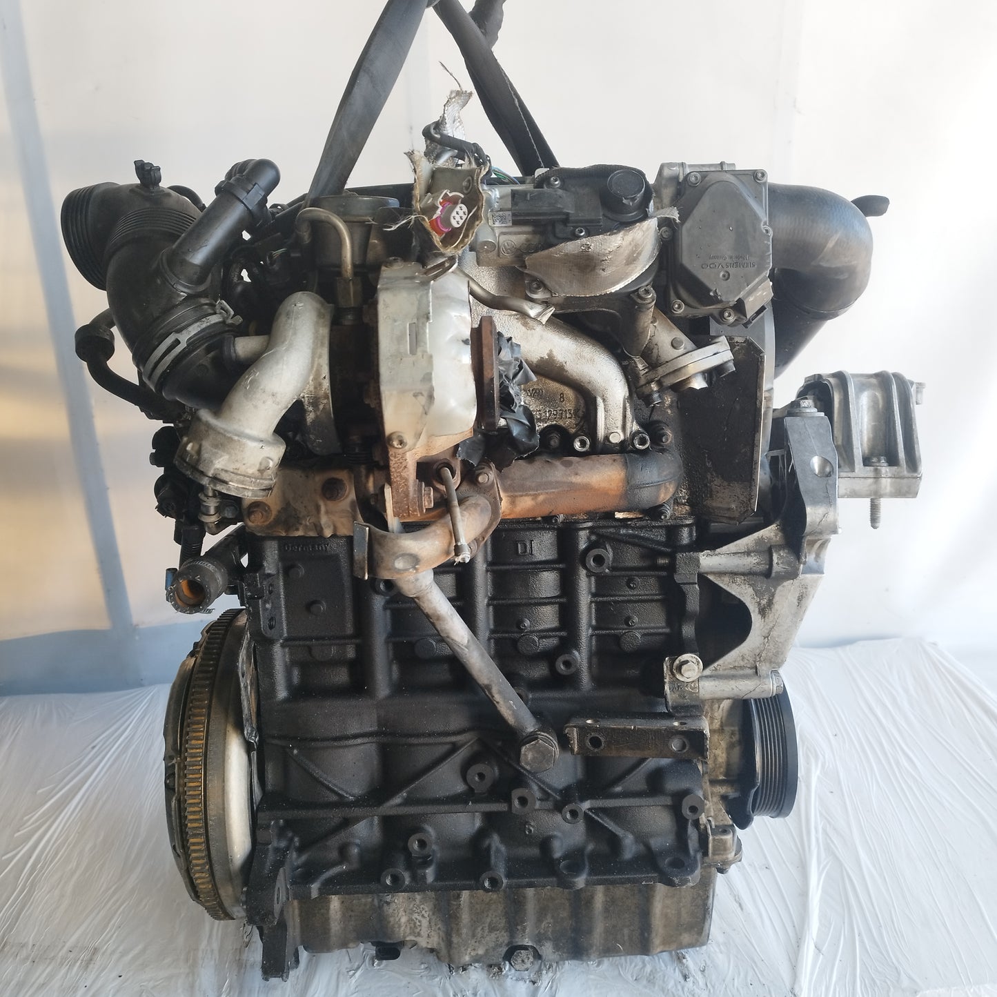 Motore Volkswagen Golf 5 / Audi A3 1.9 tdi 8v 105cv 2008 cod: BKC/BLS ecoAC6917