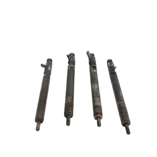 Iniettori Delphi Tata Safari 2.2 D 2007-2011 cod: ejbr04901d ecoAC16312