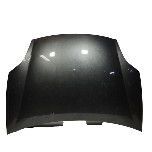 Cofano grigio underground Fiat Bravo II (198) 2007-2014 ecoAC16099