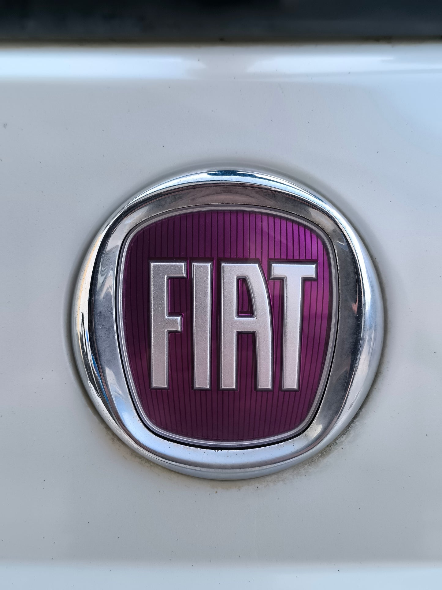Portellone Fiat 500 anno 2008 bianco perla ecoAG8145