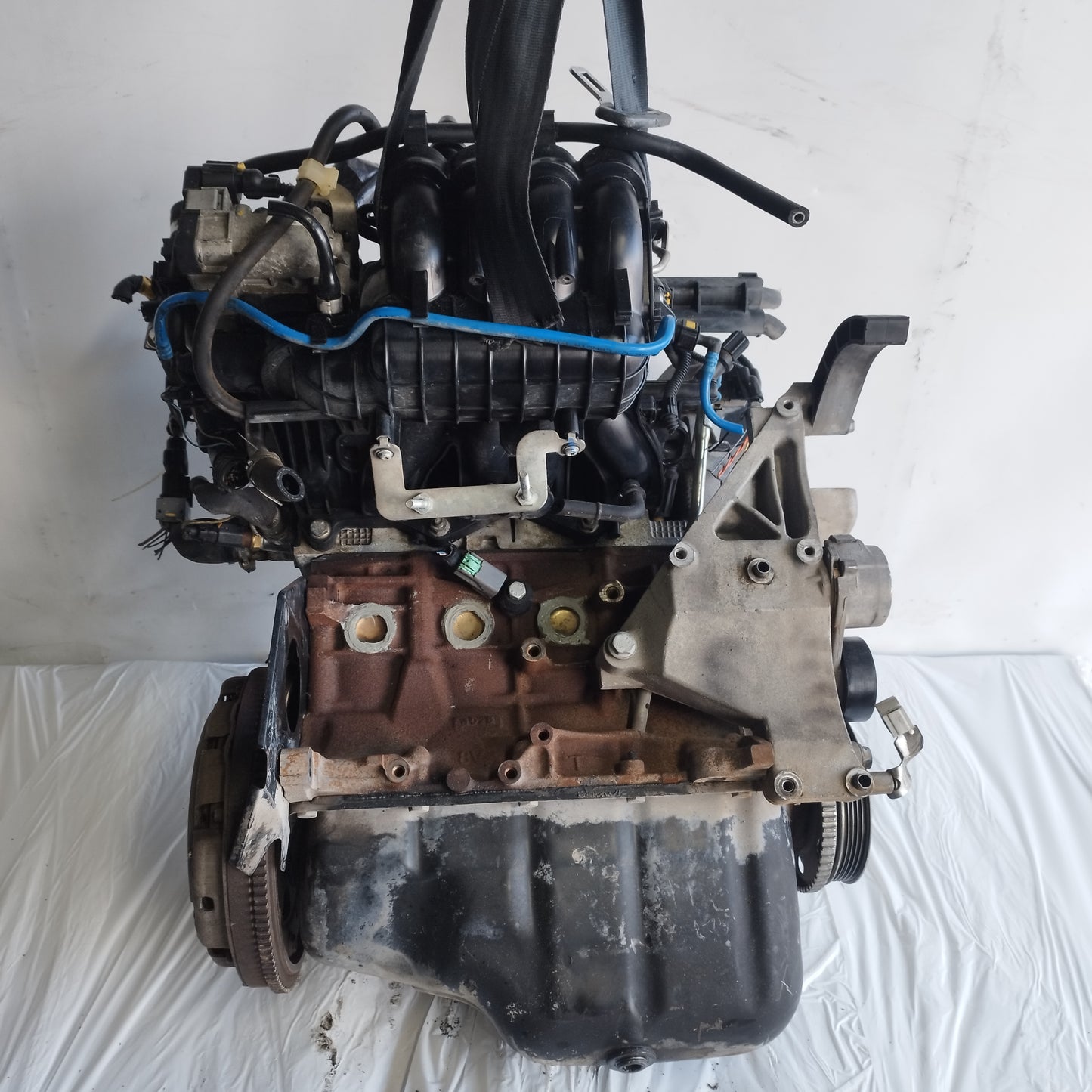 Motore Fiat Grande Punto / Punto Evo 1.4 B 57kw 2005-2012 cod: 350A1000  ecoAC15019