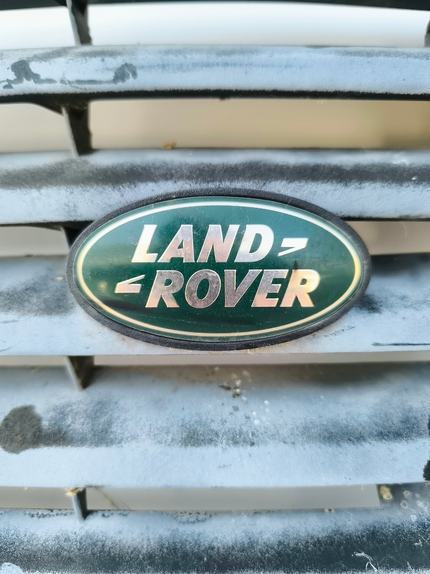 Mascherina anteriore verde Land Rover Range Rover Classic anno 1990 ecoAG7125
