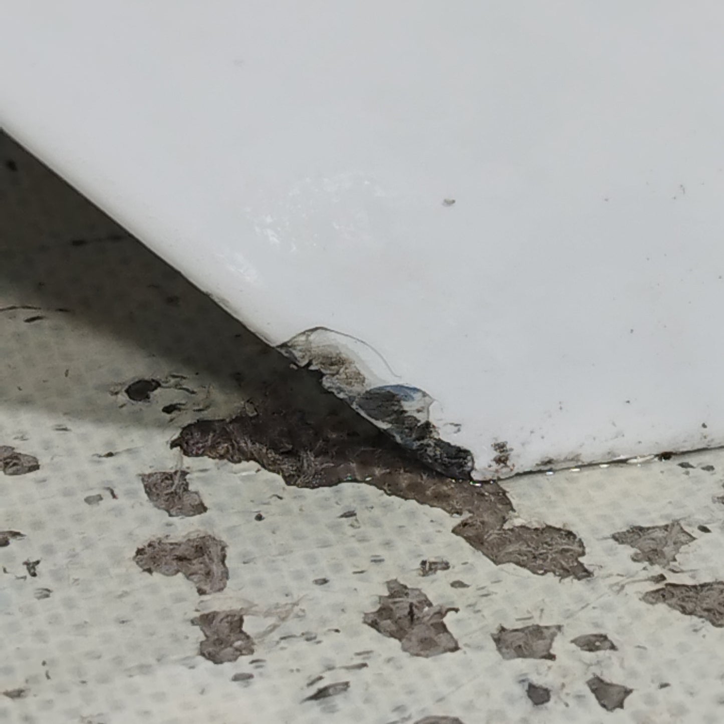 Rear right door white Ford Focus SW 2011 ecoAC10994