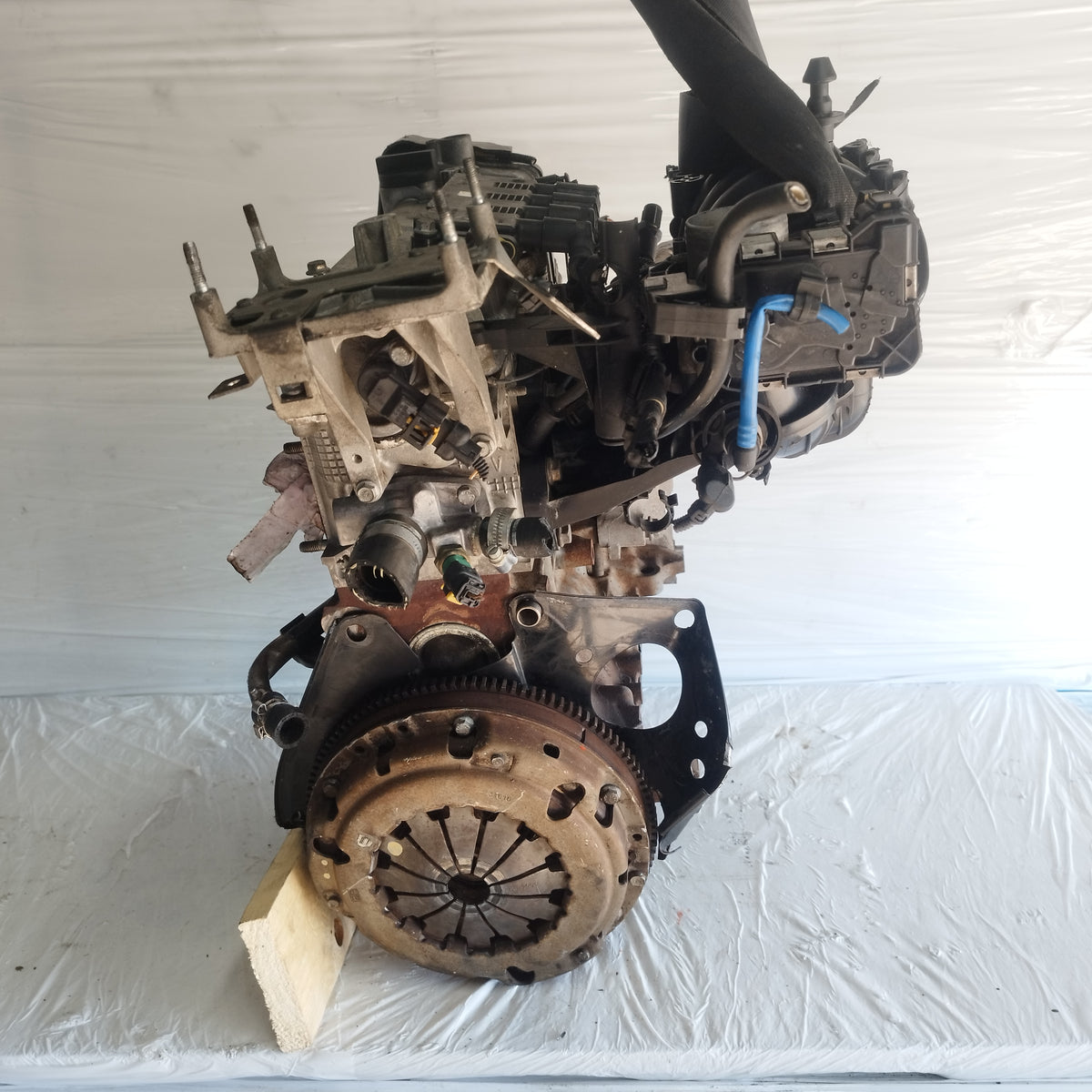 Motore Fiat Punto Evo / 500 / Panda / Lancia Y / Ford Ka 1.2 B 8v 70cv 2009-2016 cod: 169a4000 ecoAC17200