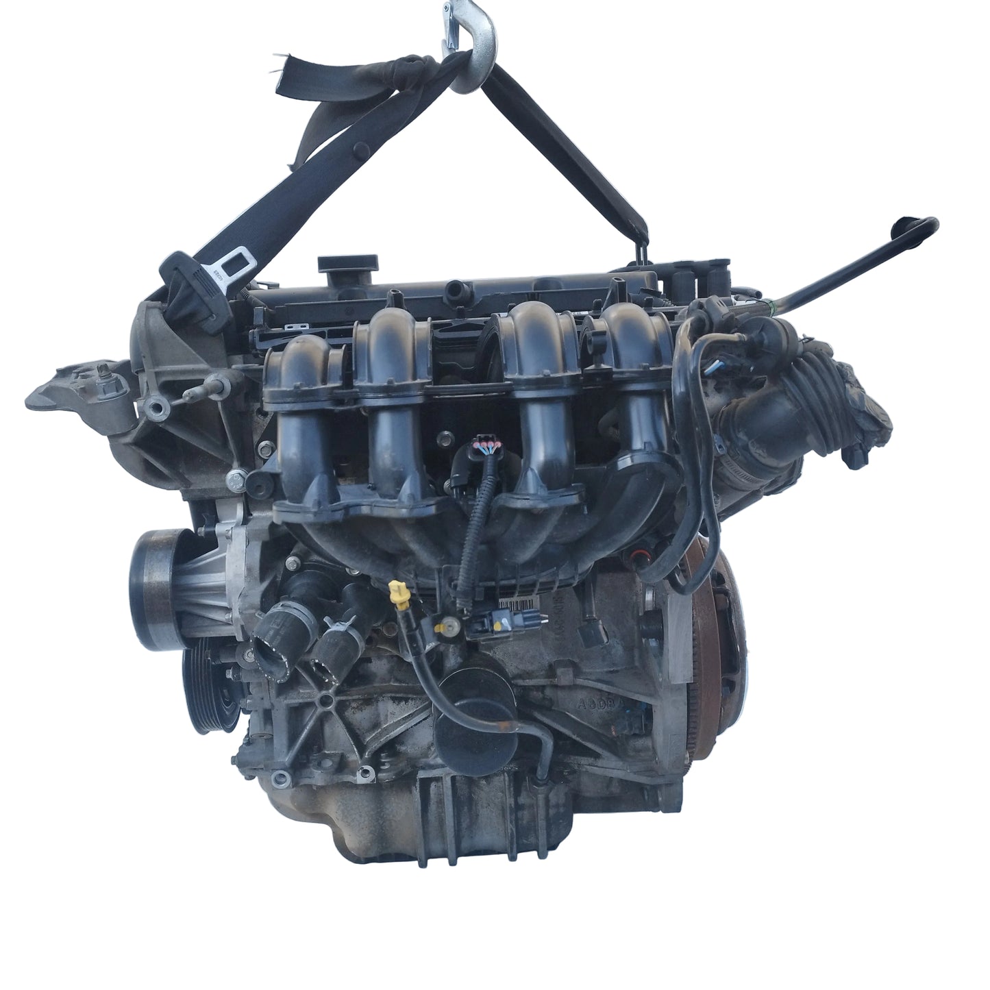 Motore Ford Fiesta 1.2 B 16v 2008-2012 codice: SNJB ecoDM109