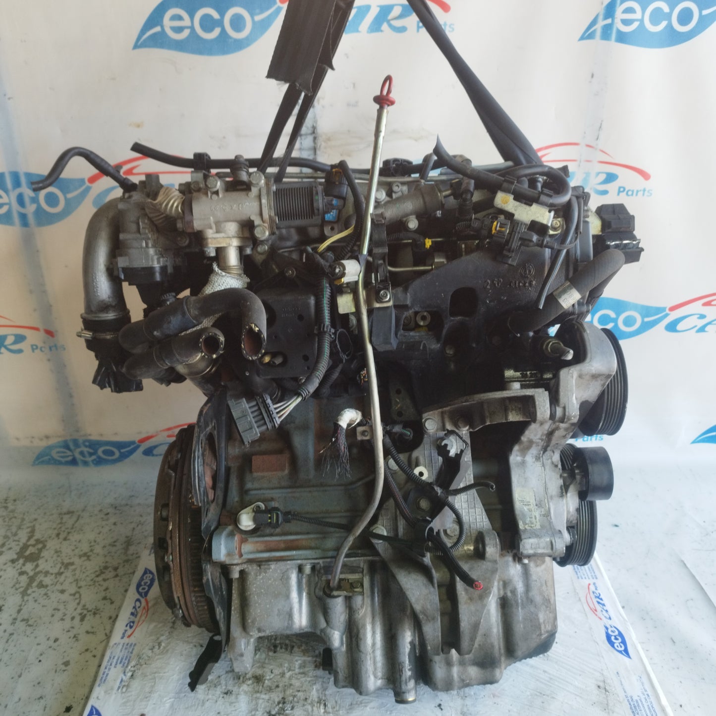 Fiat Multipla 1.9 mtj 120hp 2008 engine cod: 186a9000 ecoAC10044