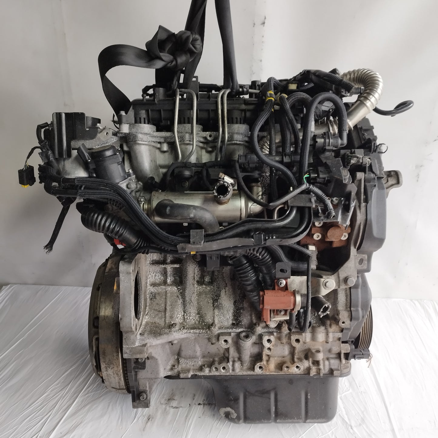 Motore Ford Focus 1.6 TDCI 90CV 2006 cod: HHDA ecoAC15423