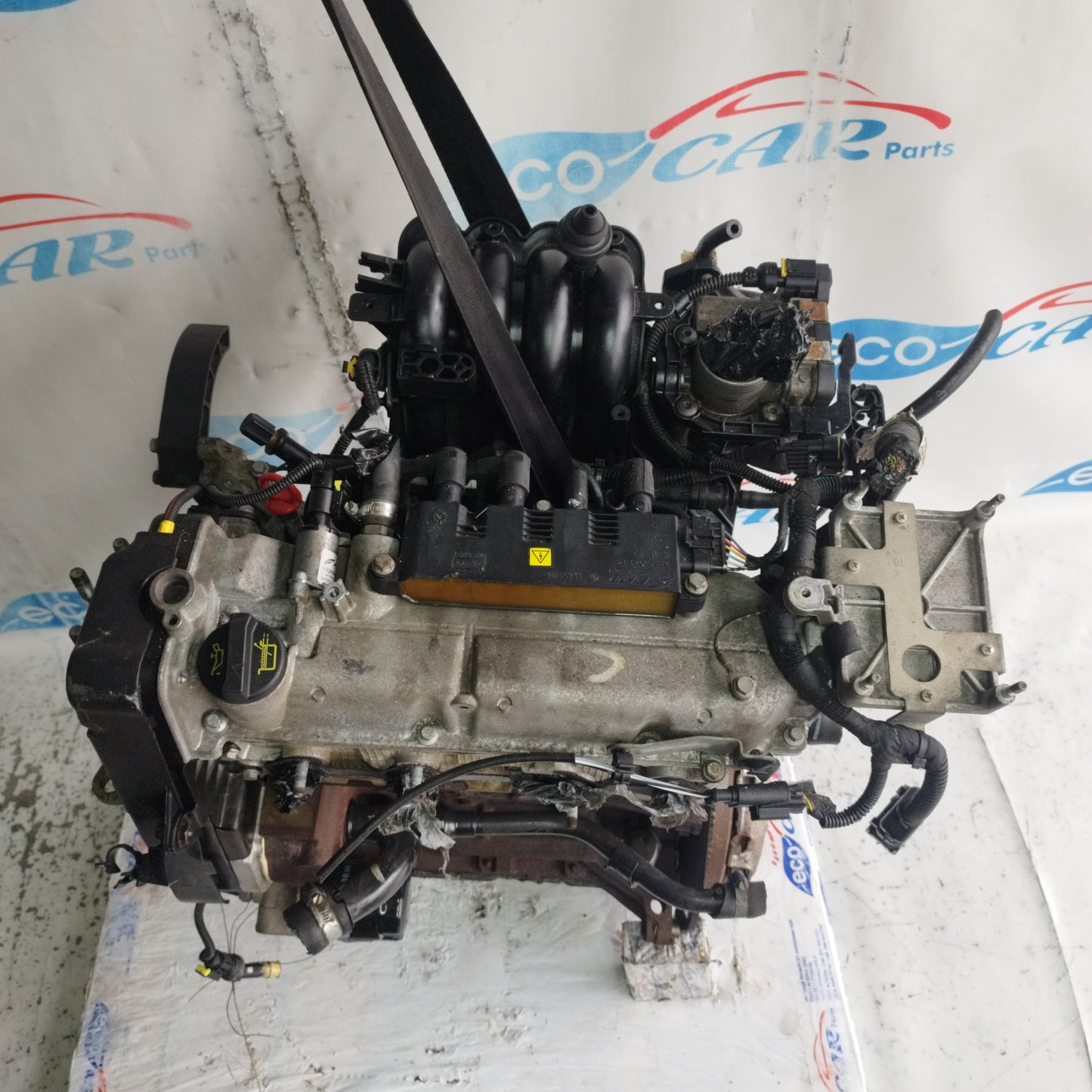 Motore Fiat Punto Evo / 500 / Panda / Lancia Y / Ford Ka 1.2 b 8v 70cv 2010 cod: 169a4000 ecoAC9946