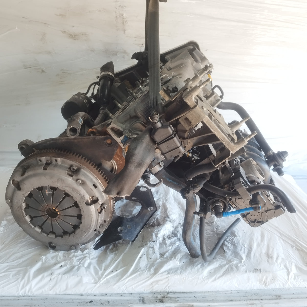 Motore Fiat 500 / New Panda / Lancia Y / Ford Ka 1.2 b 8v 70cv 2009-2016 cod: 169a4000 ecoAC17270