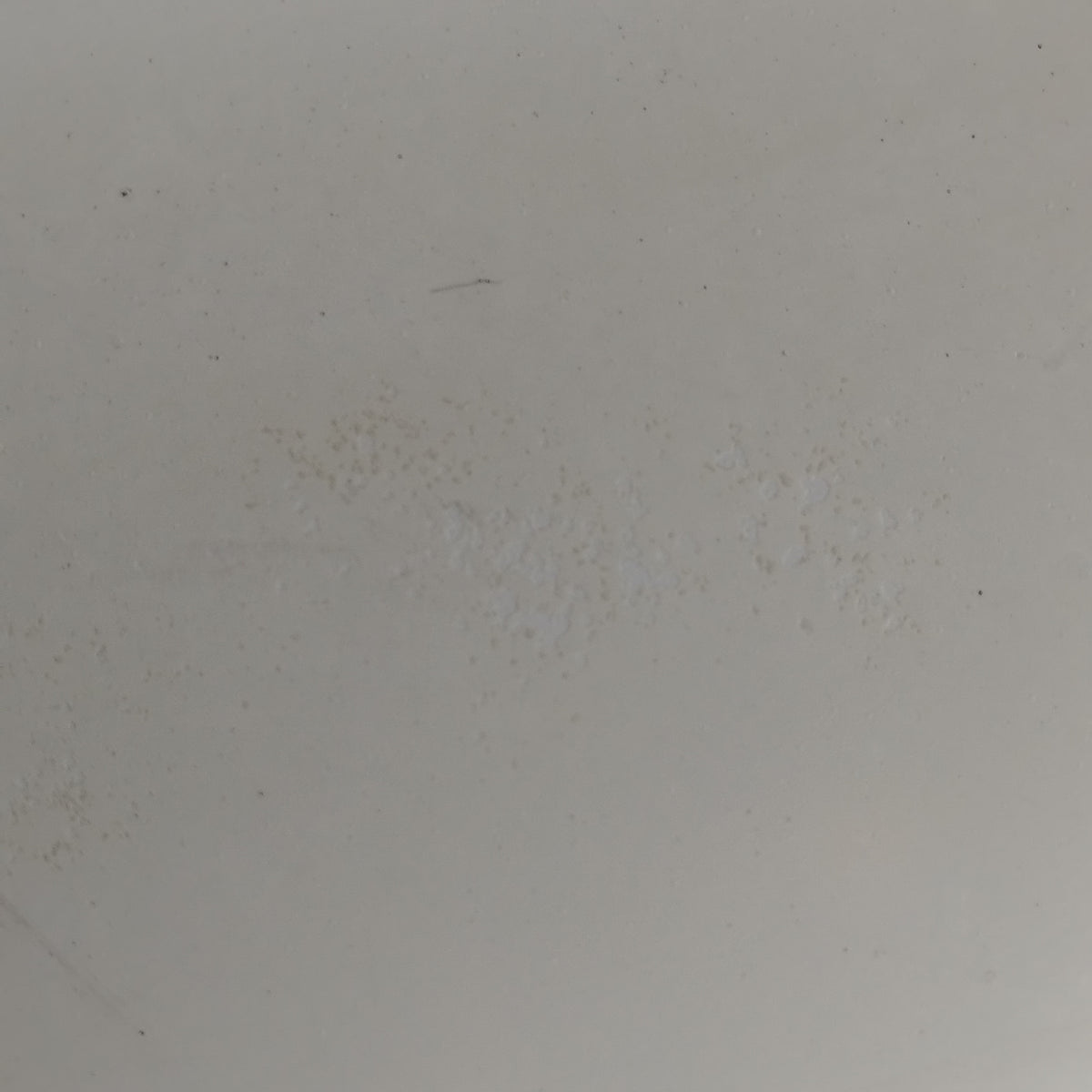 Parafango anteriore sx bianco Volkswagen Polo (6R / 6C) 2009-2017 ecoAC17279