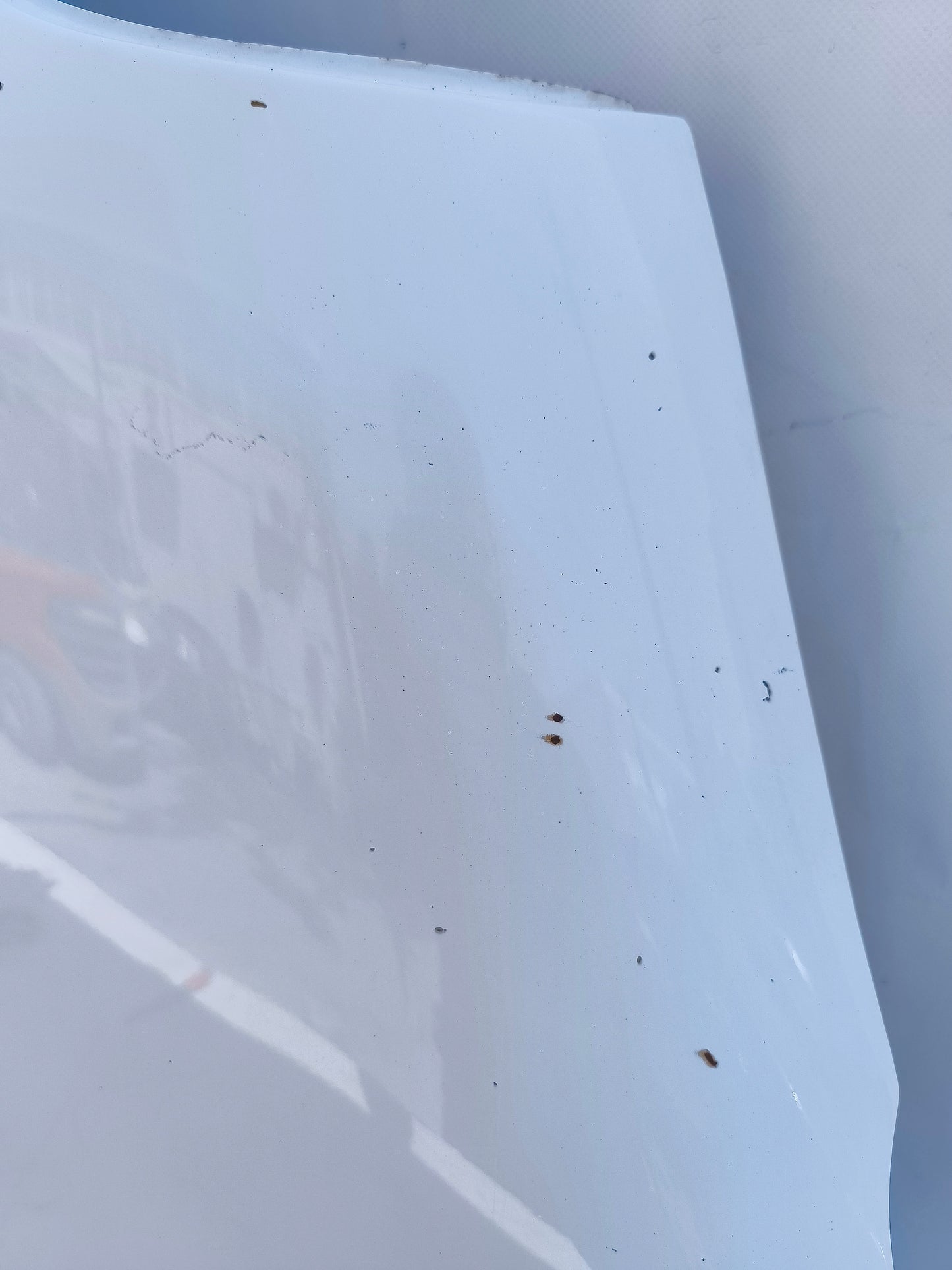 Renault Master 2014 weißer linker vorderer Kotflügel ecoAG7176