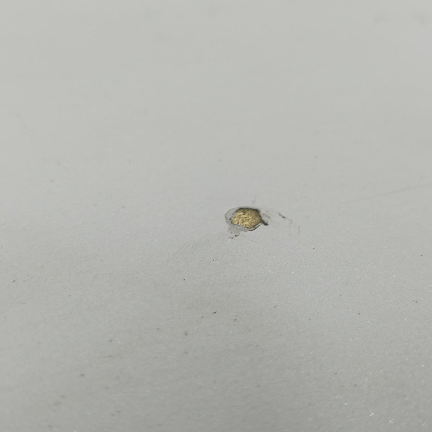 Portellone posteriore grigio Seat Ibiza 2005 ecoAC10254