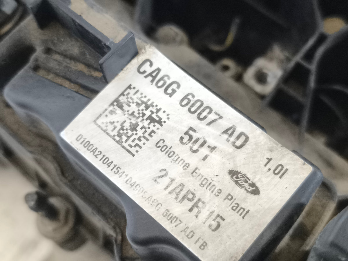 Testata Ford Fiesta VI (JA8) Hatchback 1.0 Ti-VCT 12V 65/80CV 2012-2017 cod: CA6G6007AD ecoAG9986
