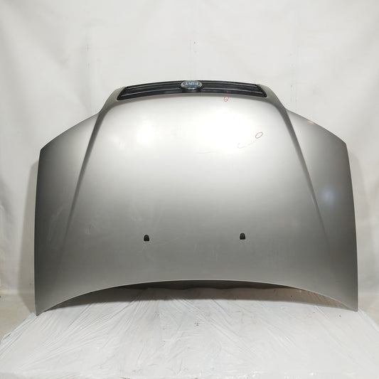 Cofano anteriore grigio steel Fiat Punto 2005 ecoAC10839