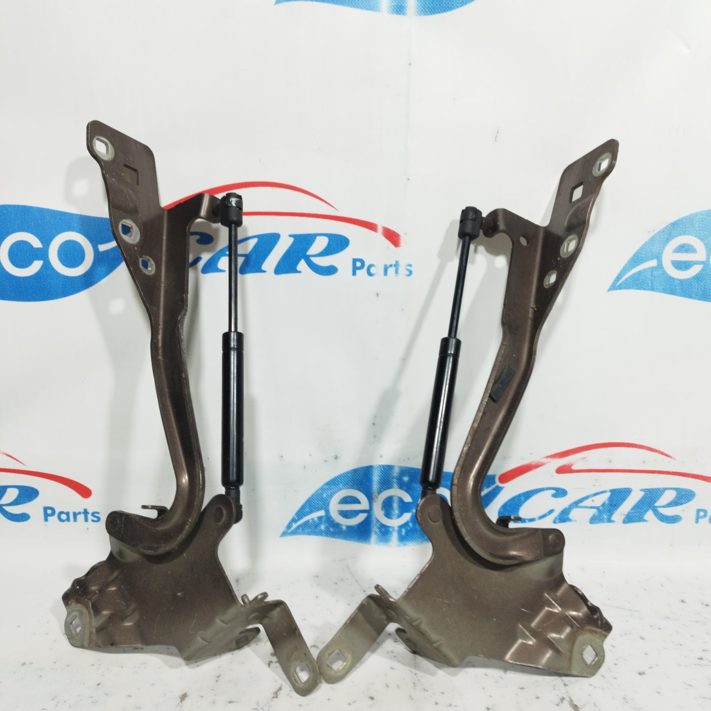 Front bonnet hinges Renault Scenic 2010 Cod: 654010004R ecoAC8422