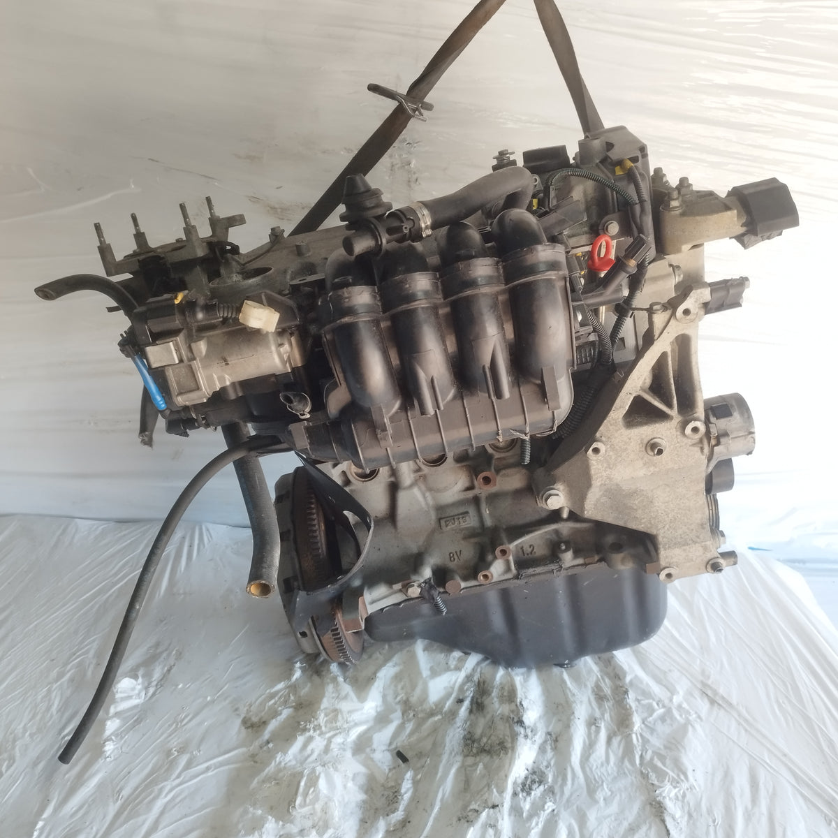 Motore Fiat 500 / New Panda / Lancia Y / Ford Ka 1.2 b 8v 70cv 2009-2016 cod: 169a4000 ecoAC17270
