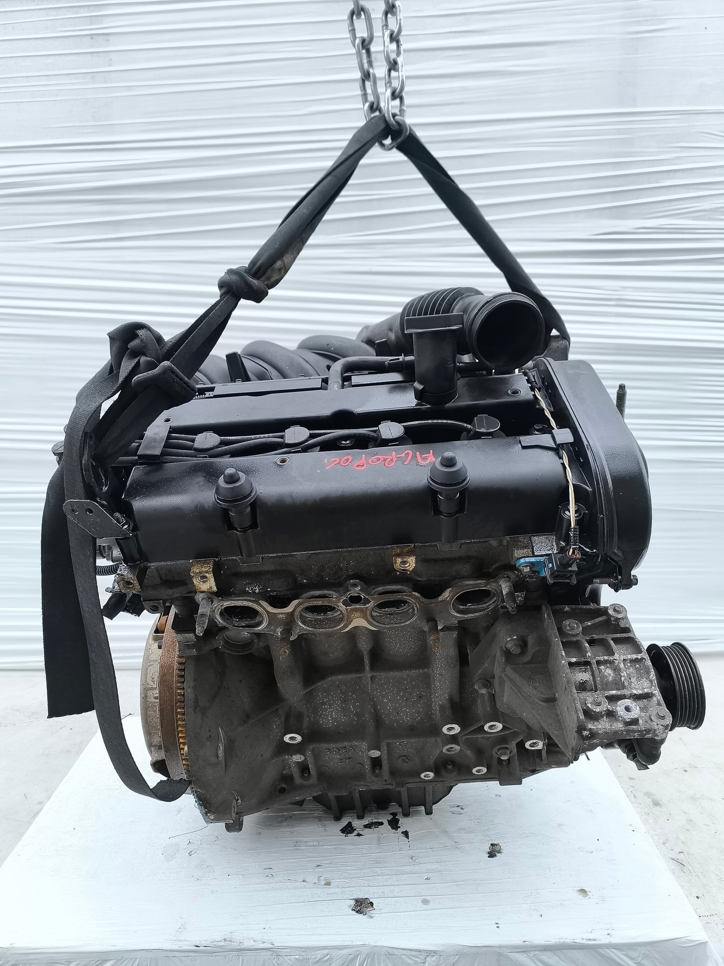 Motore Ford Fiesta 1.2 B 16v 55KW 75cv 2005-2008 cod: FUJA ecoAG7876