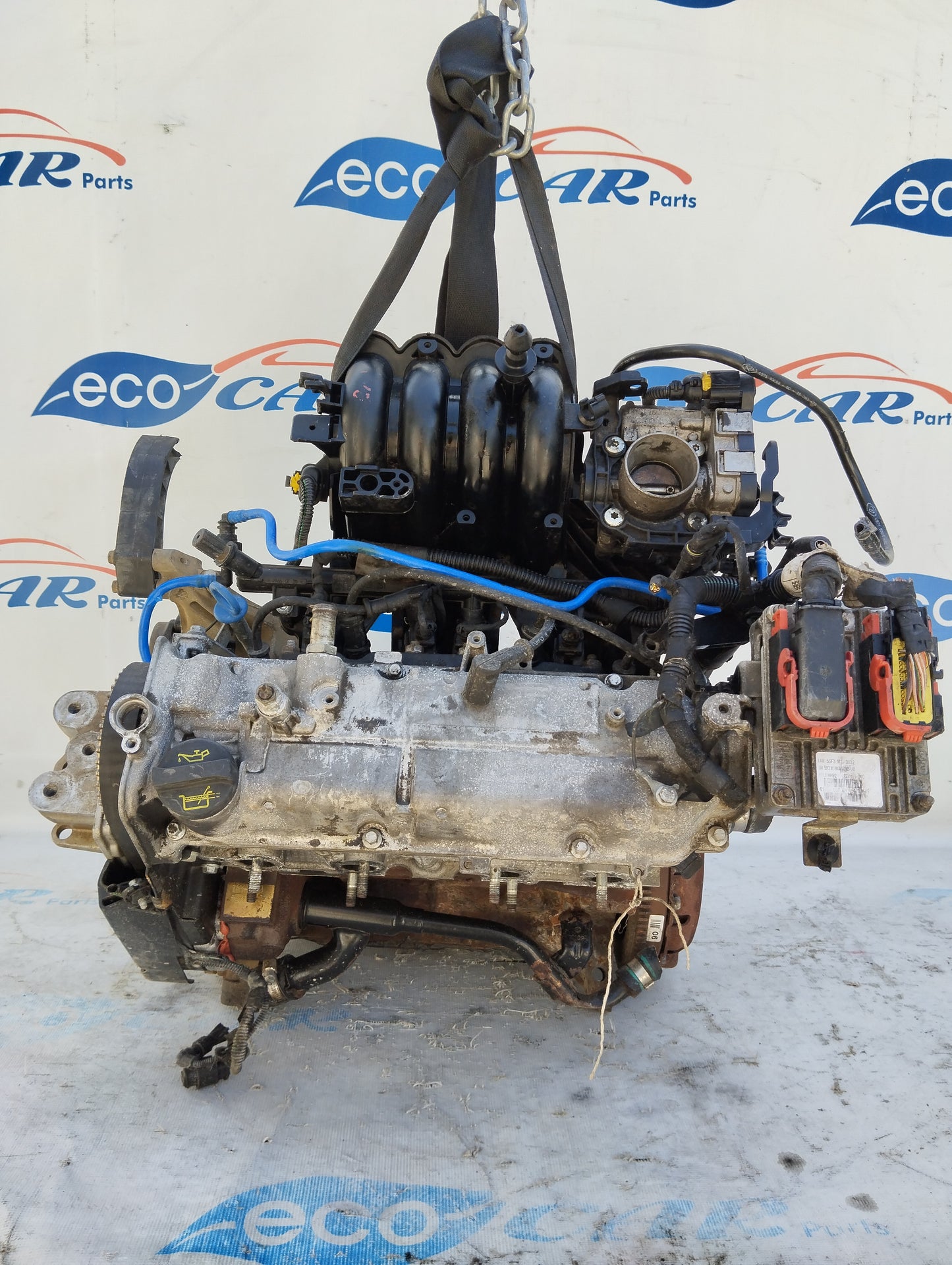 Motore Fiat Panda 1.2 b 8v  70cv cod: 169A4000 senza variatore di fase ecoAG5271
