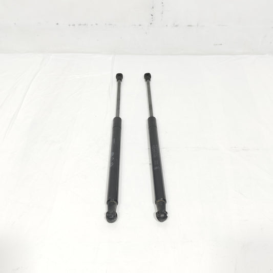 Ammortizzatori portellone Fiat New Panda Cross 2021 ecoAC14981