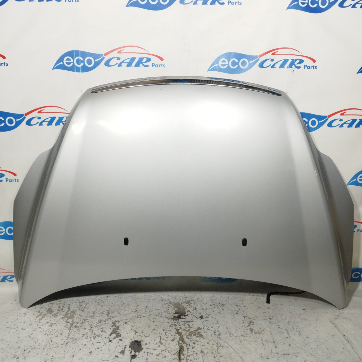 Ford Focus 2009 ecoAC10181 Graue Motorhaube