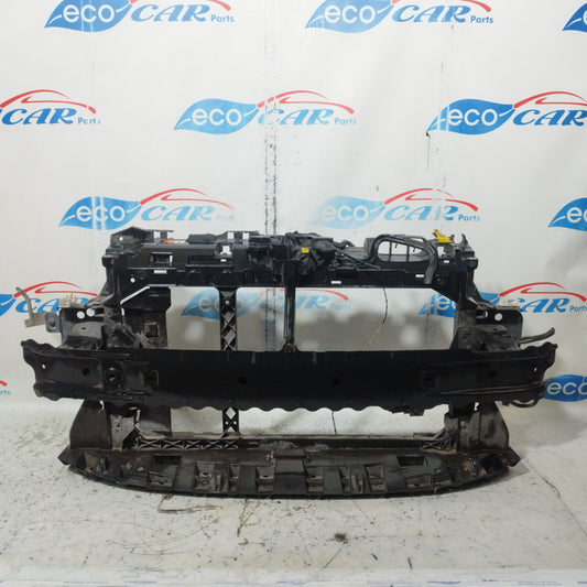 Calandra anteriore con rinforzo Ford Fiesta 2010 ecoAC10182