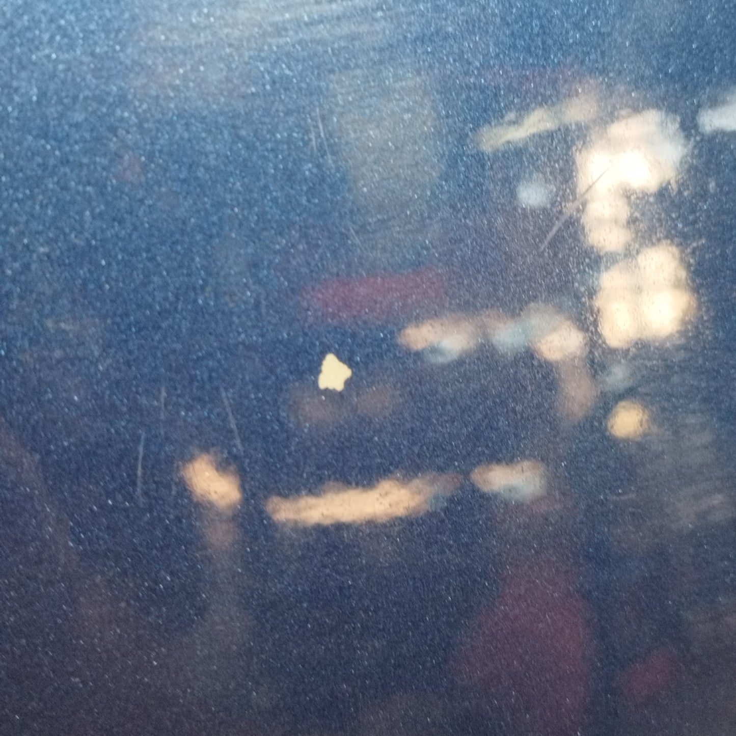 Sportello posteriore sx blu Opel Agila 2010 ecoAC10116