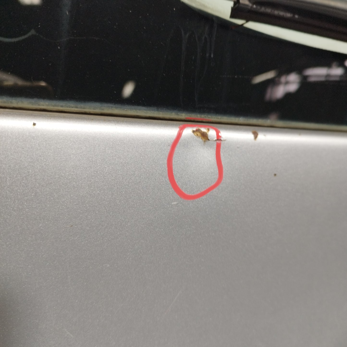 Portellone posteriore grigio Toyota Yaris verso 2005 ecoAC11601