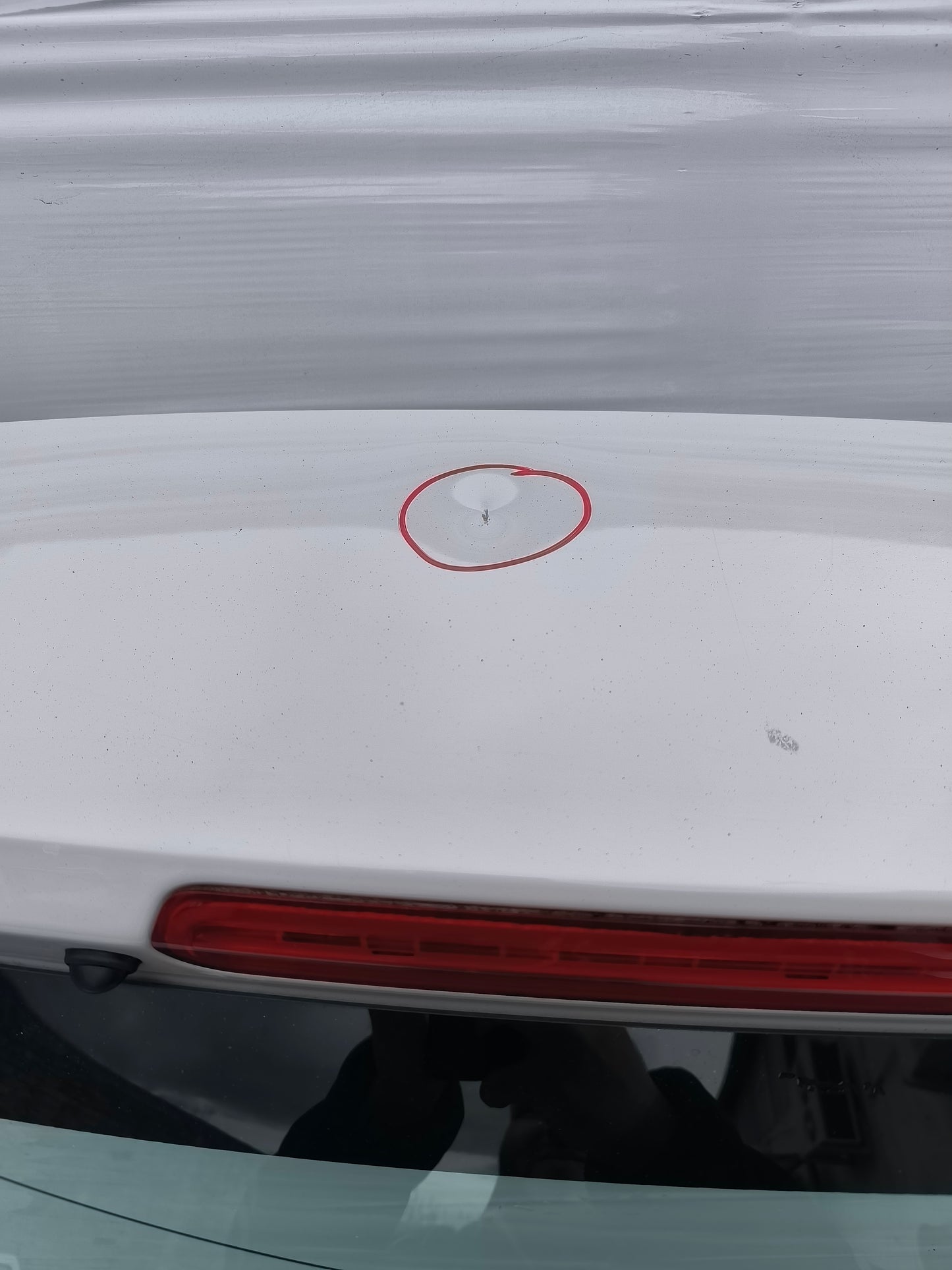 Portellone color panna Alfa Romeo Mito ecoAG7978