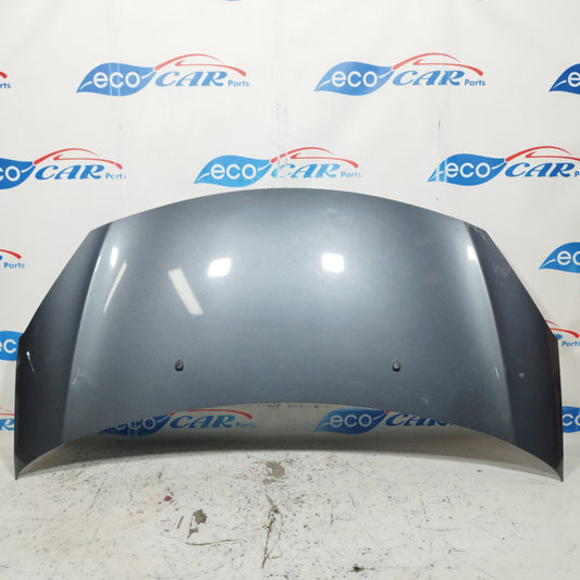 Citroen C3 2010 ecoAC8801 graue Motorhaube