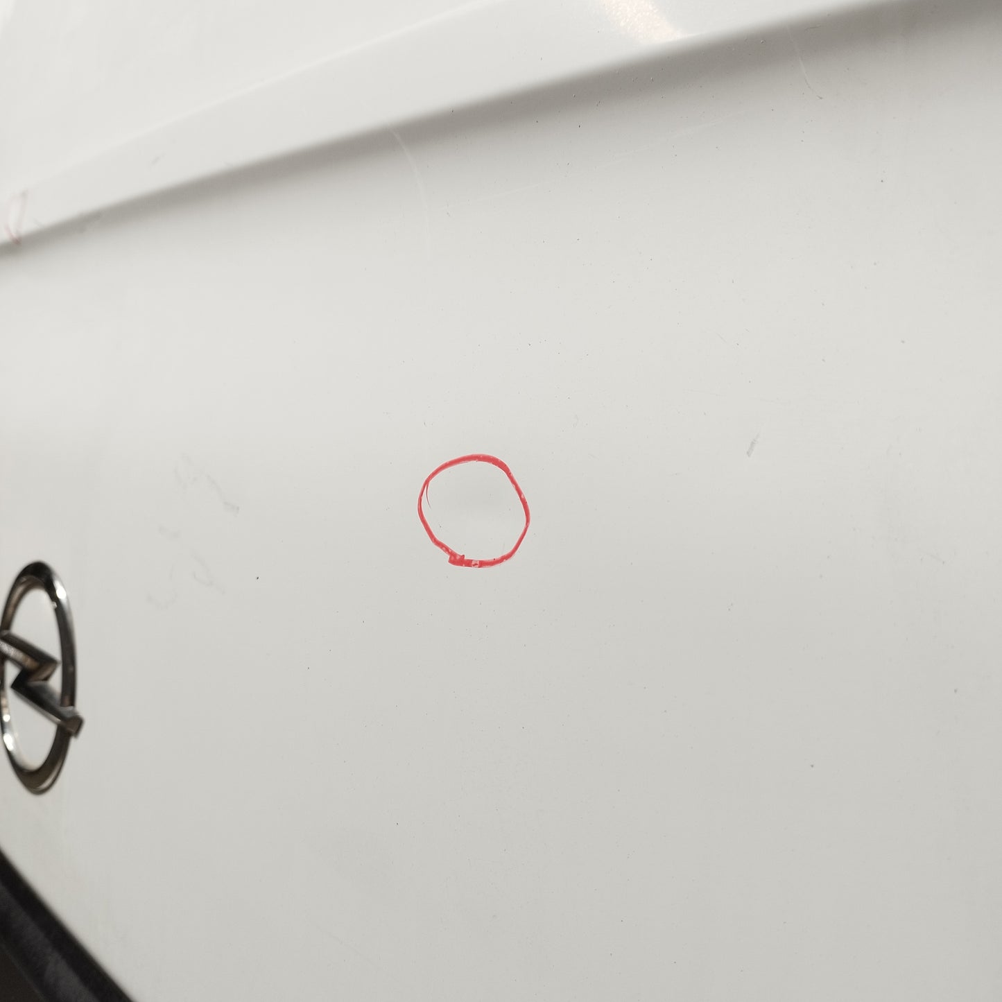 Sportello posteriore sx bianco Opel Movano 2015 ecoAC12189