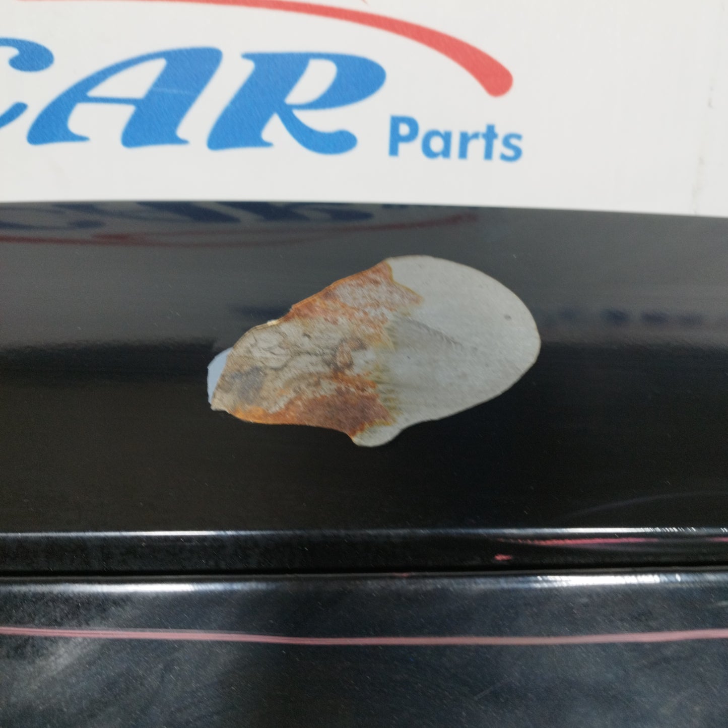 Portellone nero Kia XCeed 2021 ecoAC9463