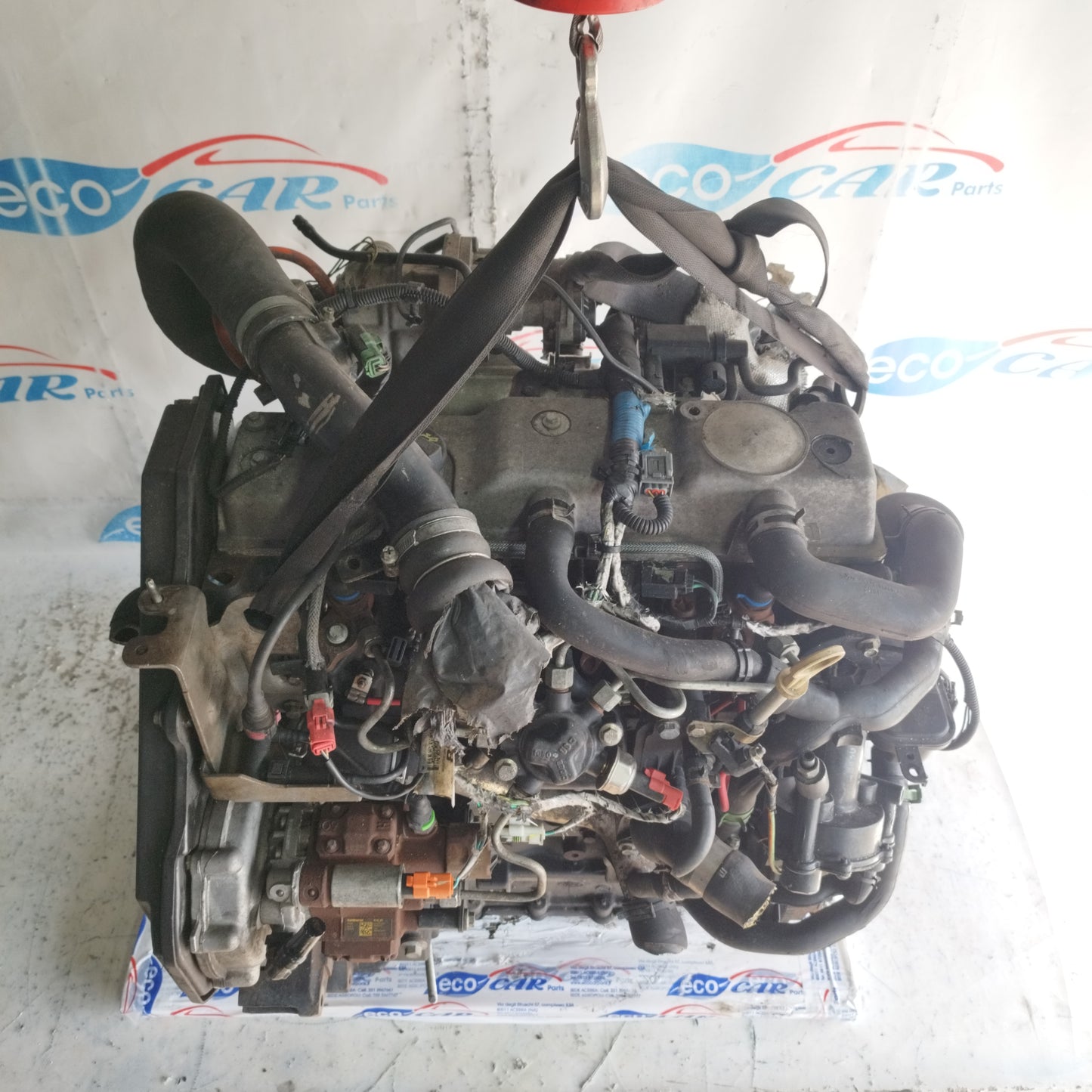 Motore Ford Transit Connect 1.8 TDCI 2001 cod: C9DB ecoAC9371
