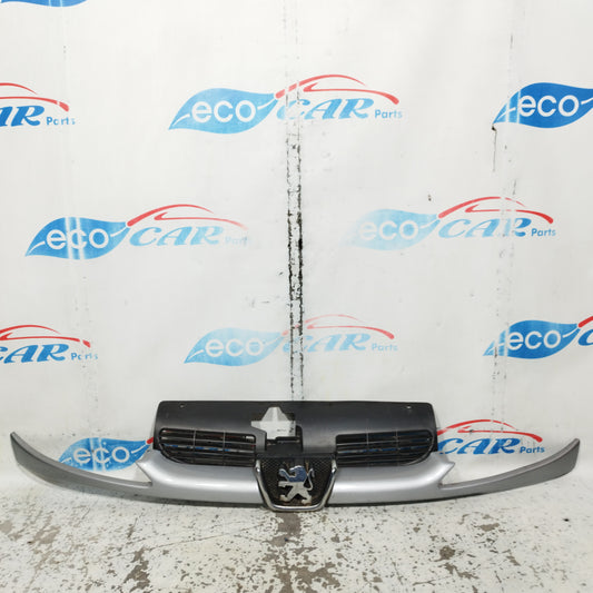 Peugeot 206 2004 ecoAC10605 grauer Kühlergrill