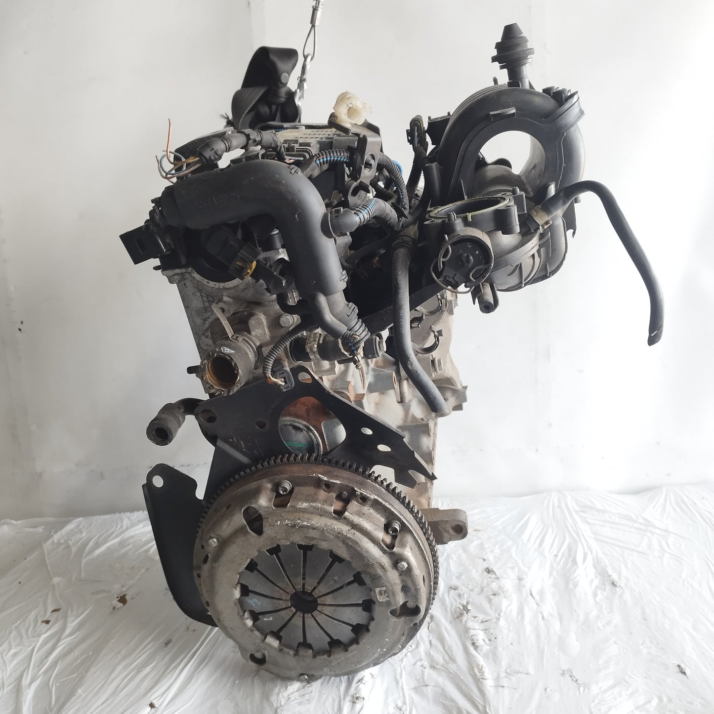 Motore Fiat 500 / Panda / Lancia Y / Ford Ka 1.2 B 8v 70cv 2012-2020 cod: 169a4000 ecoAC15734