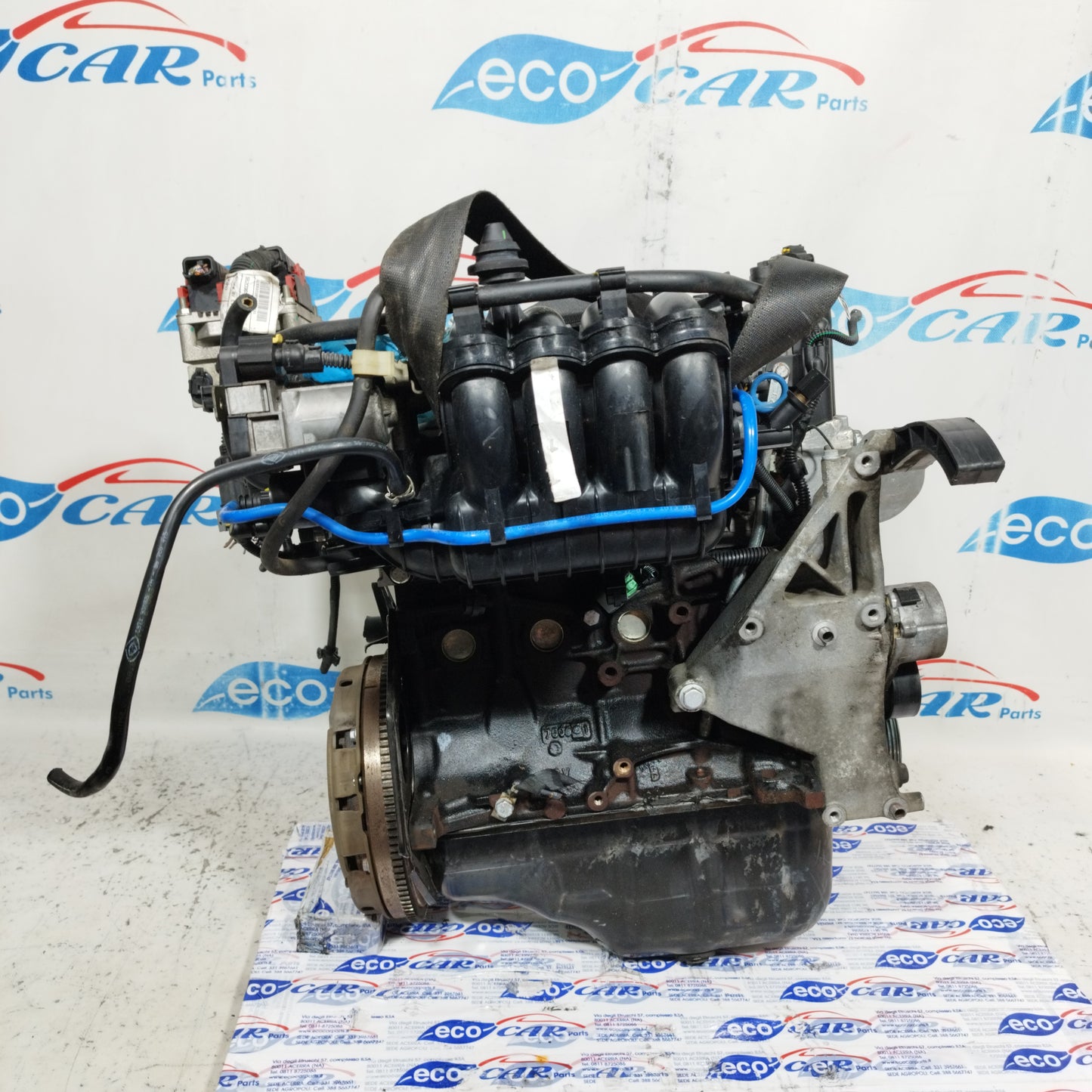 Fiat Grande Punto 1.2 b 8v 2010 Motorkennung: 199A4000 ecoAC9081