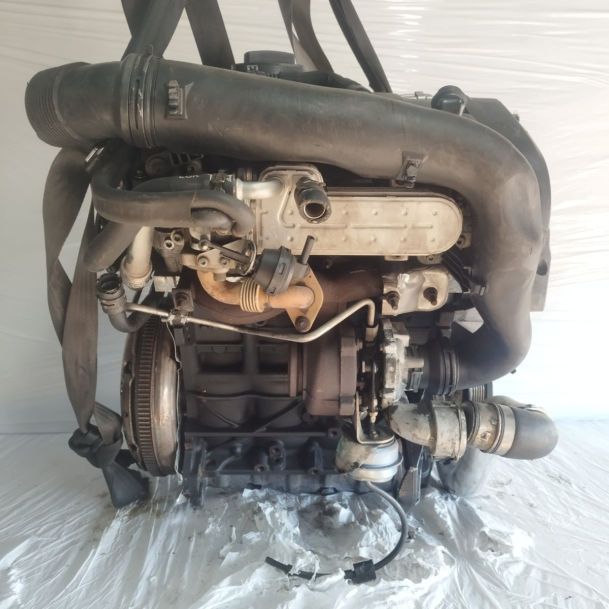 Motore Audi A3 8P / Volkswagen Golf 5 2003-2008 2.0 TDI 16v 140CV cod: BKD ecoAC17287