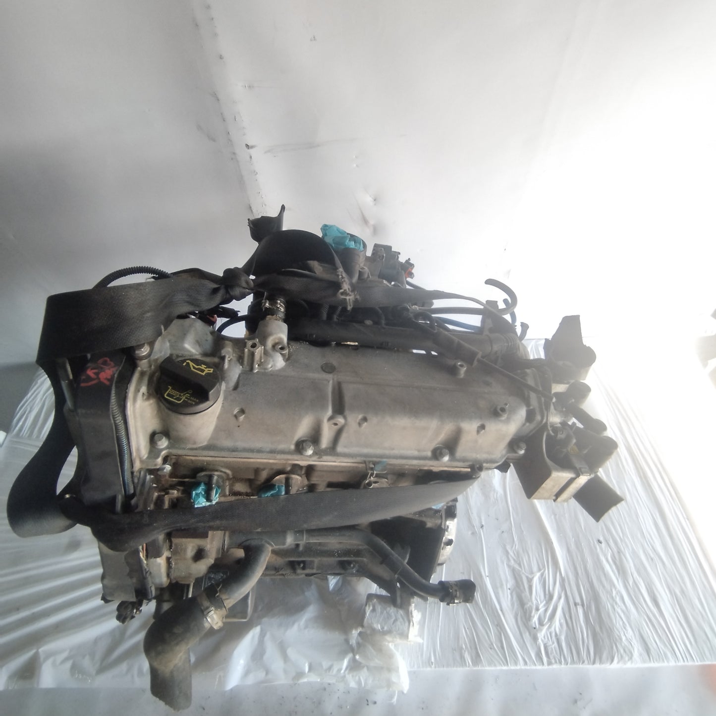 Motore Fiat Punto 1.2 b 8v 2008 codice 188A4000  ecoAC3737