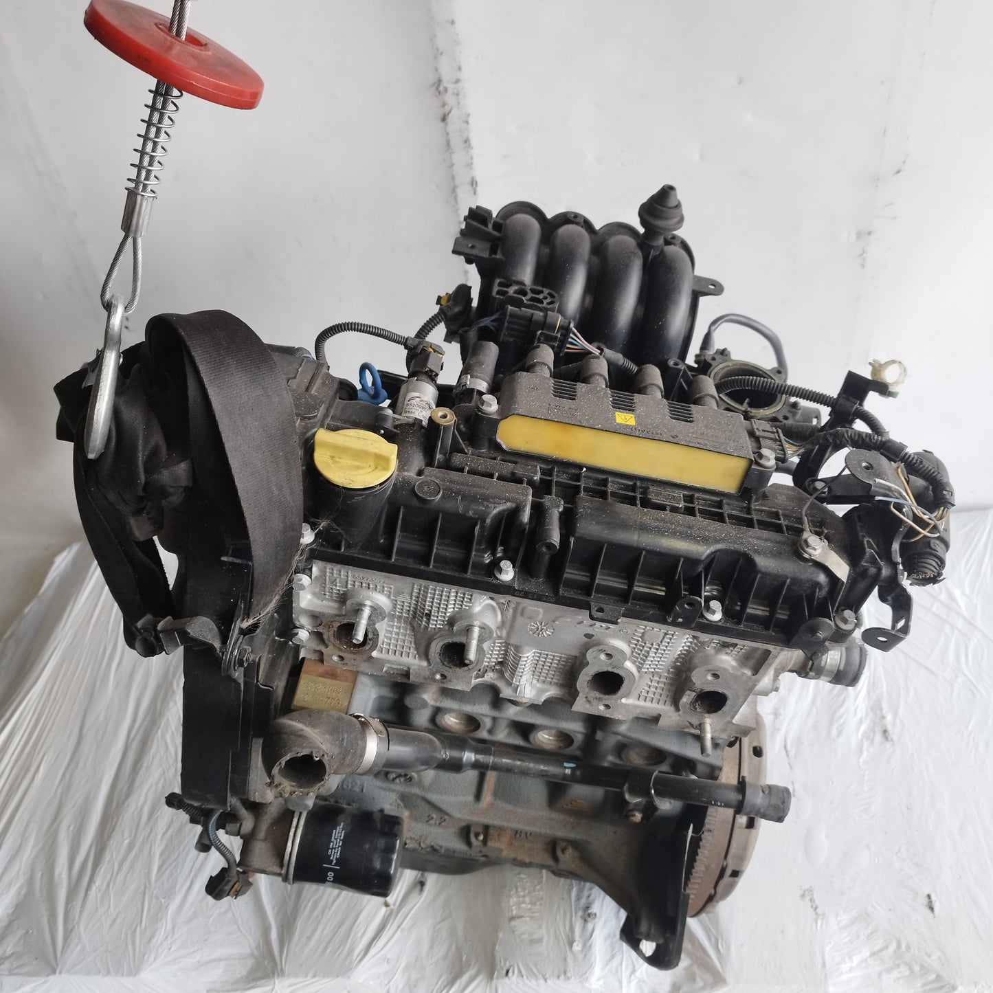 Motore Fiat 500 / Panda / Lancia Y / Ford Ka 1.2 B 8v 70cv 2012-2020 cod: 169a4000 ecoAC15734