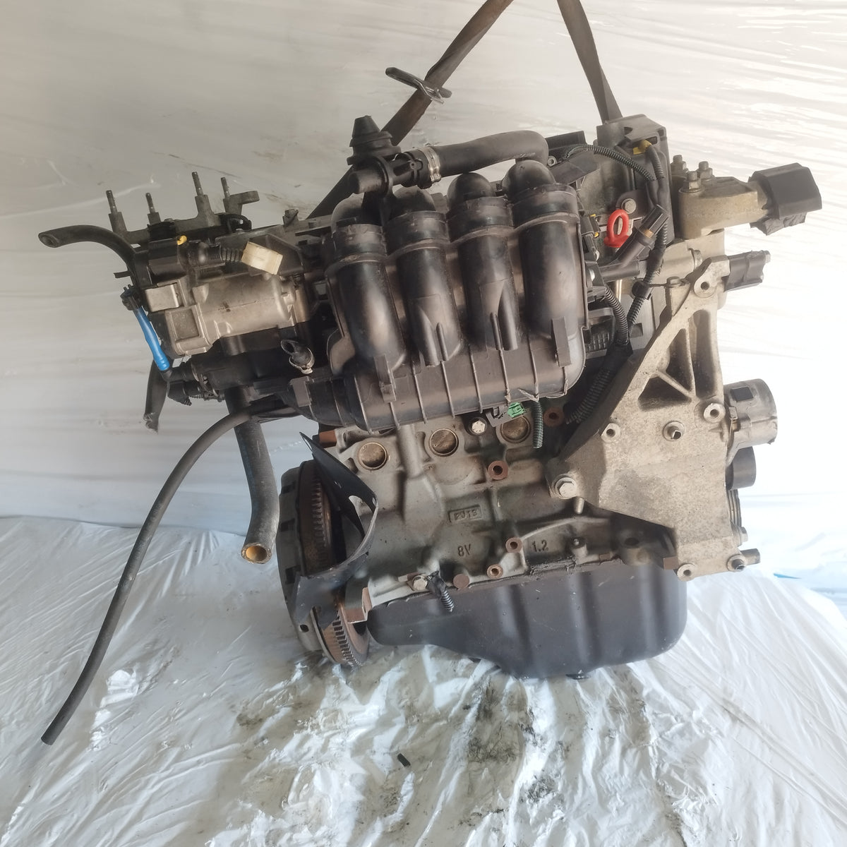 Motore Fiat 500 / New Panda / Lancia Y / Ford Ka 1.2 b 8v 70cv 2009-2016 cod: 169a4000 ecoAC17270