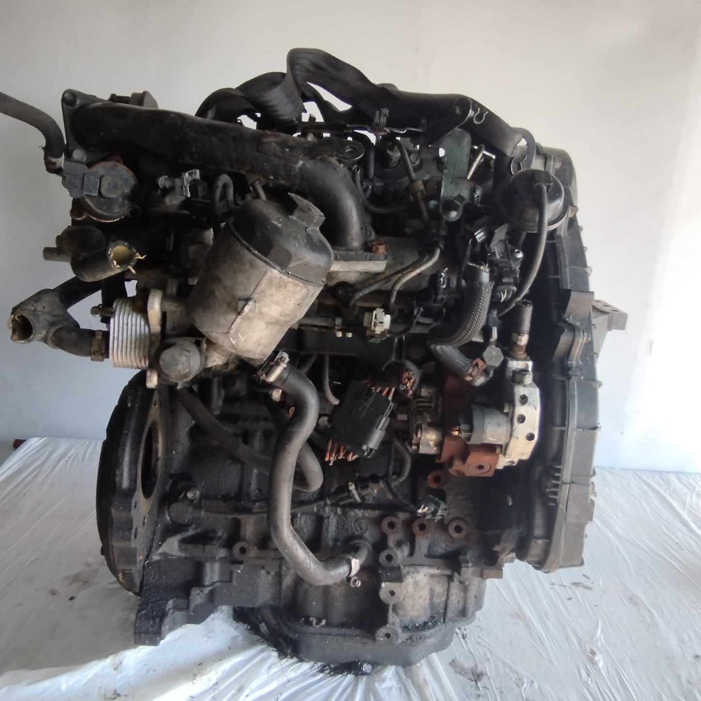 Opel Astra H 1.7 TD 2004 engine code: Z17DTL ecoAC7522