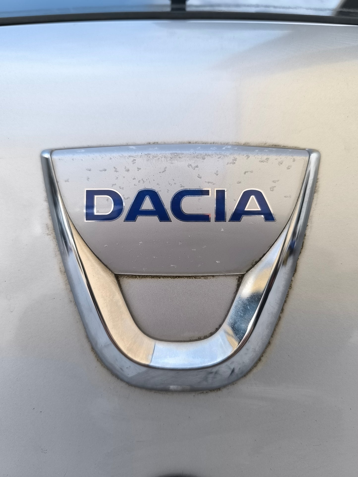 Portellone grigio argento Dacia Sandero I anno 2008-2012 ecoAG8022
