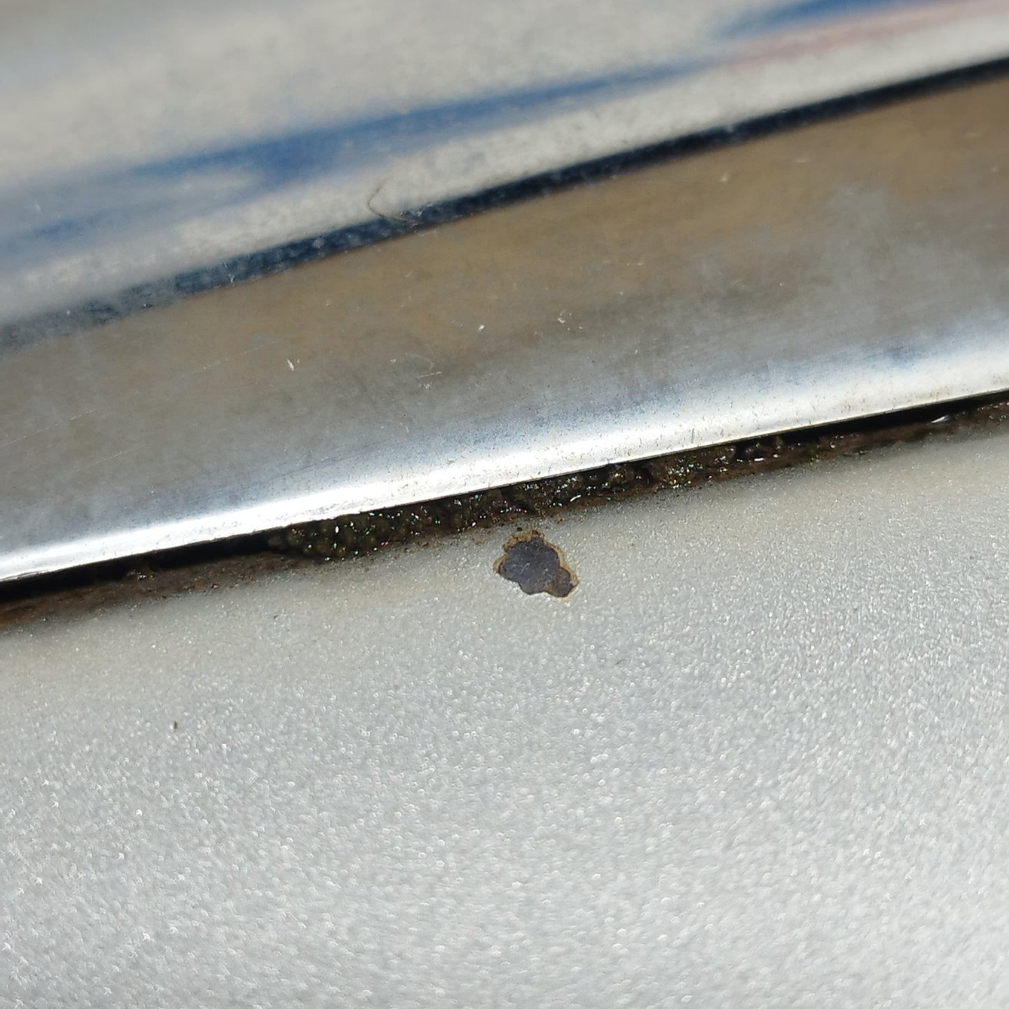 Ford Focus 2009 ecoAC10181 Graue Motorhaube