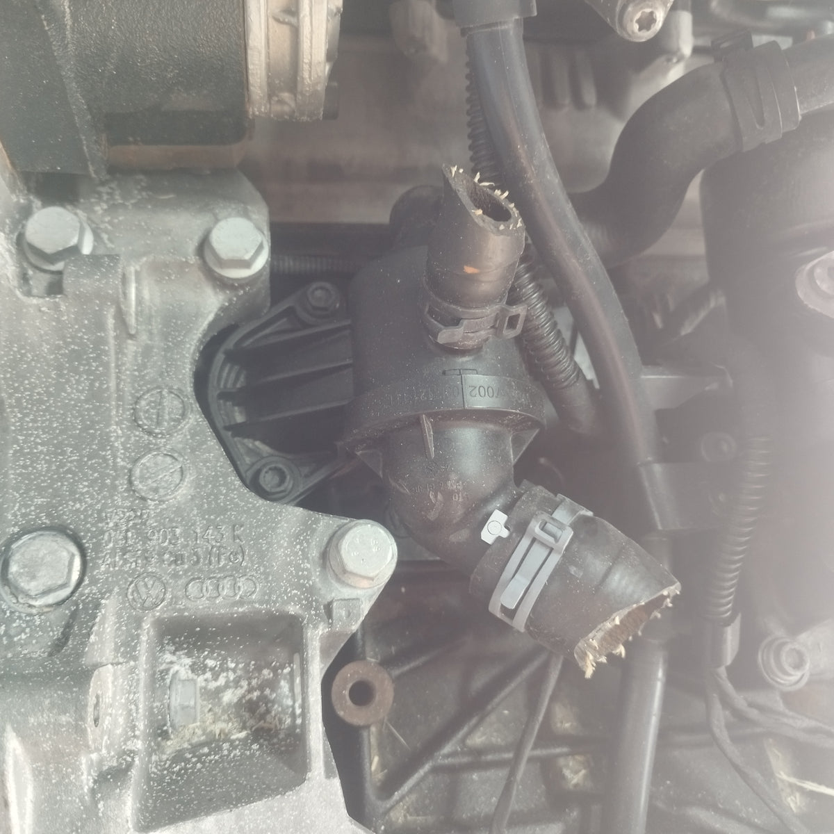 Motore Volkswagen Golf VI 1.6 TDI 2009-2012 cod: CAY ecoAC17109