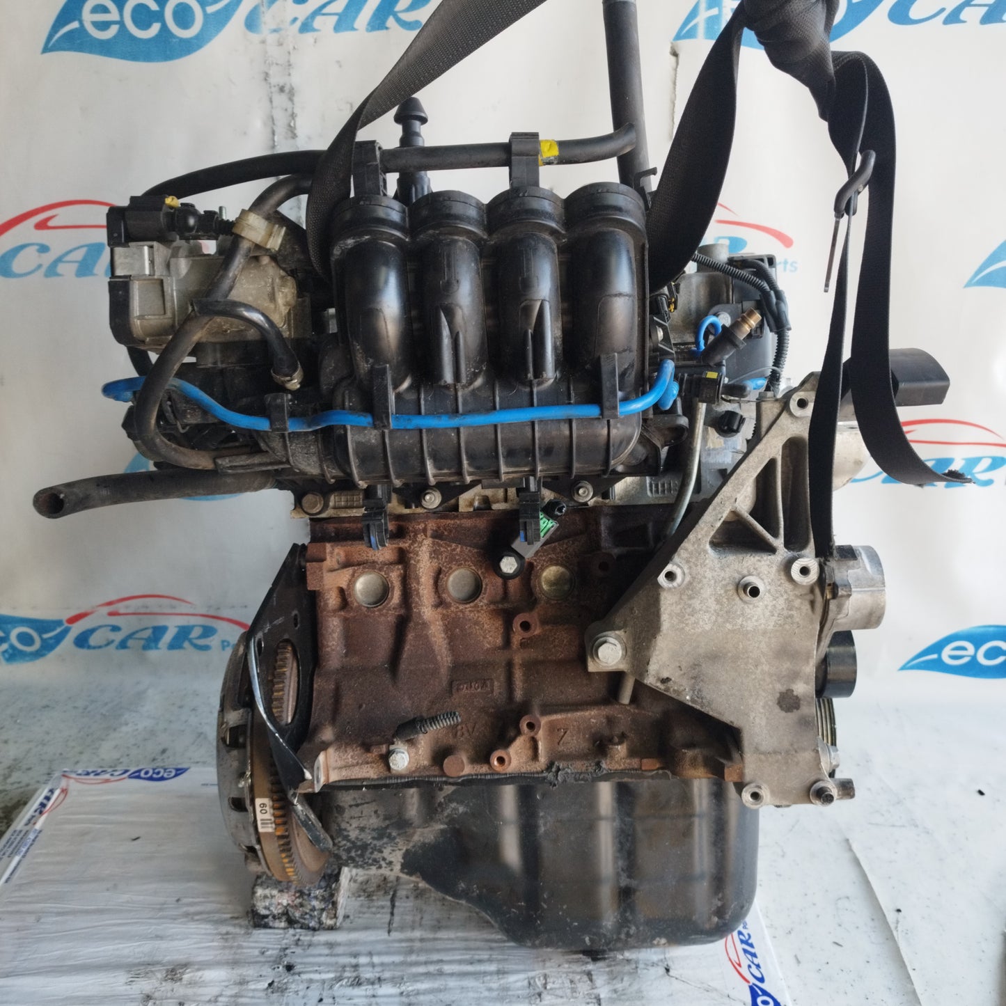 Motore Fiat Punto Evo / 500 / Panda / Lancia Y / Ford Ka 1.2 b 8v 70cv 2010 cod: 169a4000 ecoAC10208