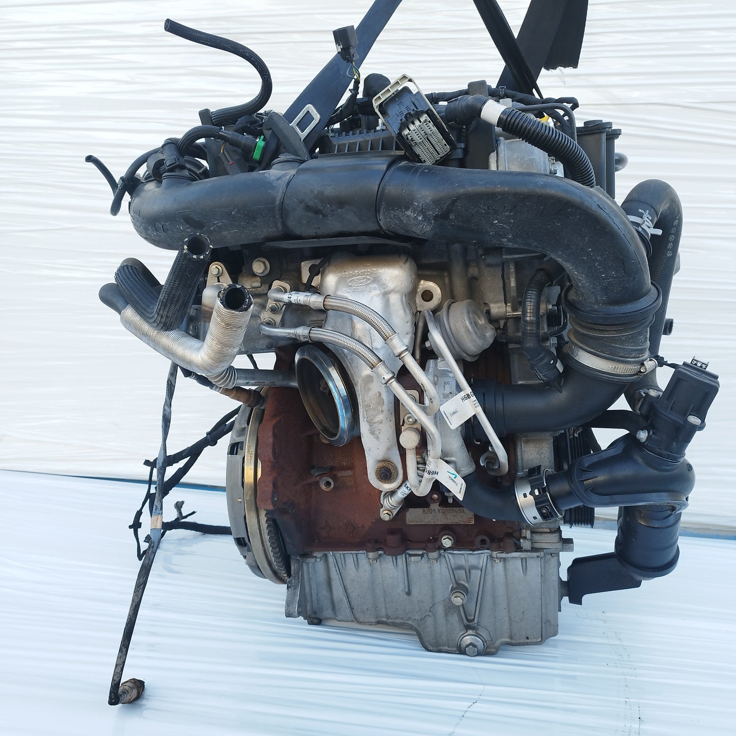 Motore Ford Focus 1.0 TB 2018-2025 cod: B3DA ecoDM096