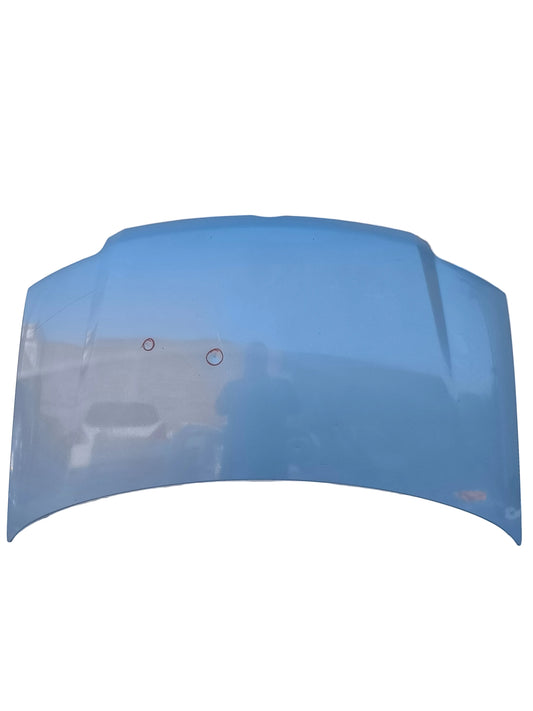 Cofano celeste Fiat Panda 169 2003-2011 ecoAG7946