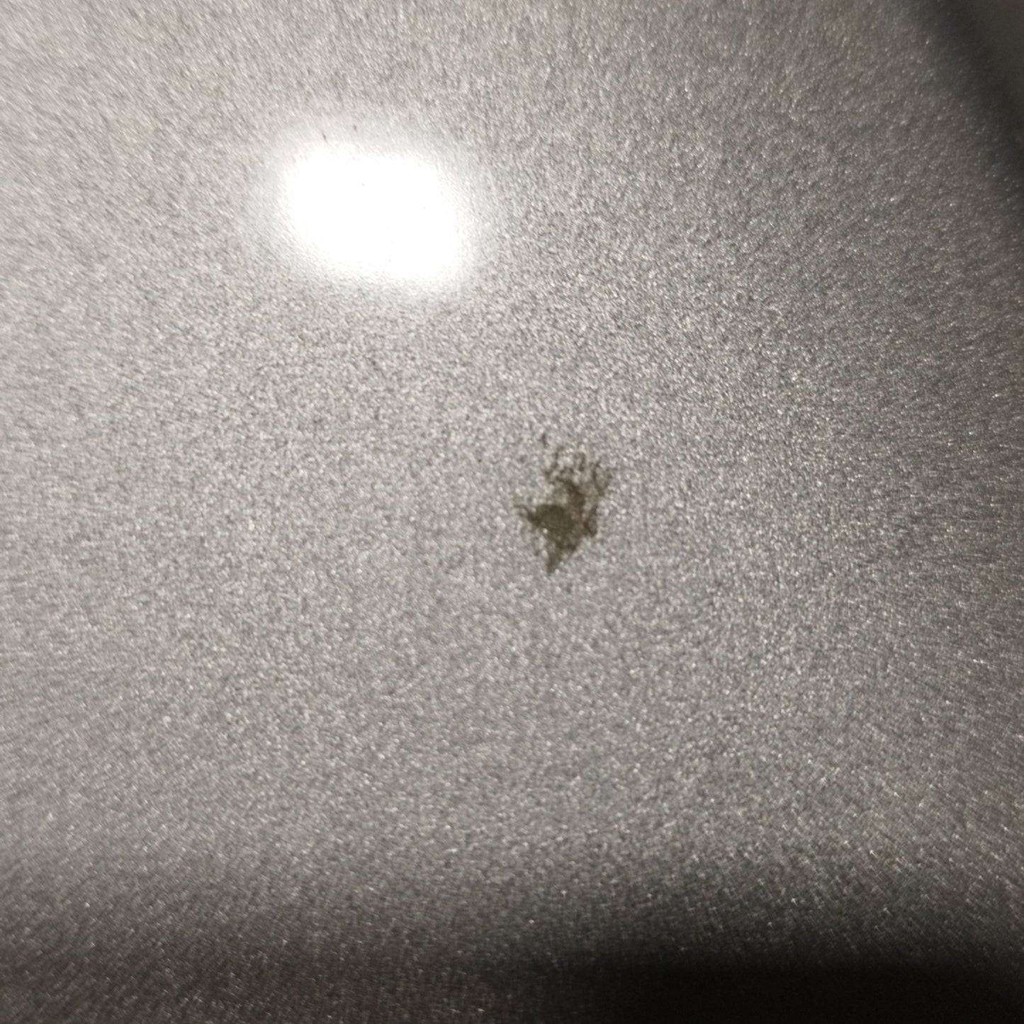 Ford Focus 2009 ecoAC10181 Graue Motorhaube