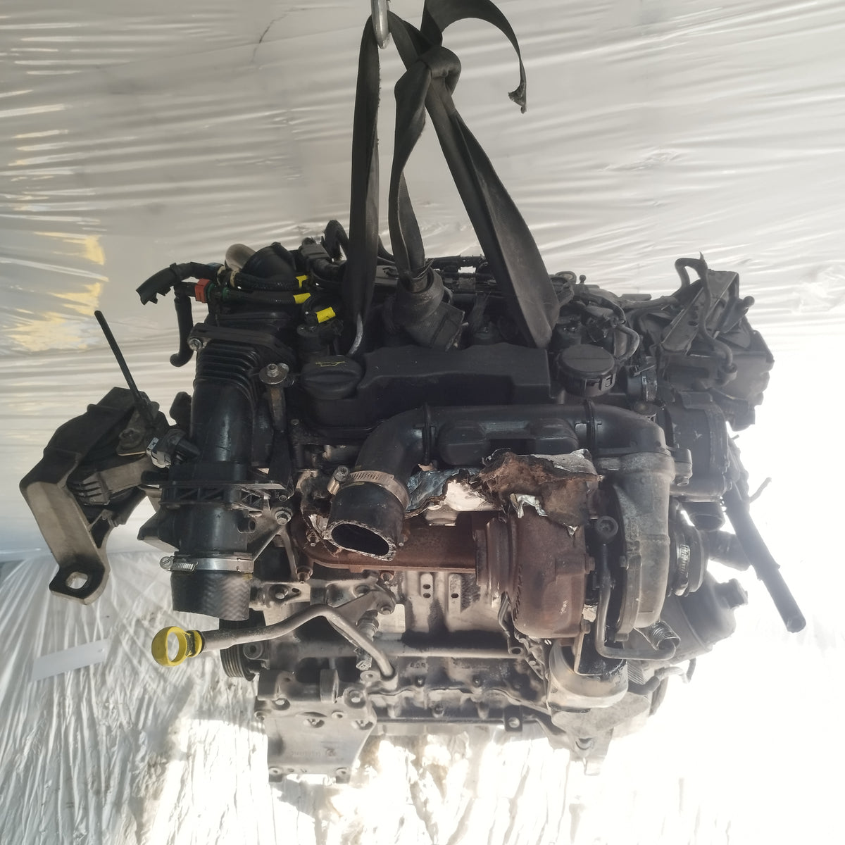 Motore Ford C-Max 1.6 TDCI 16v 110cv 2007-2010 cod: G8DA ecoAC17204