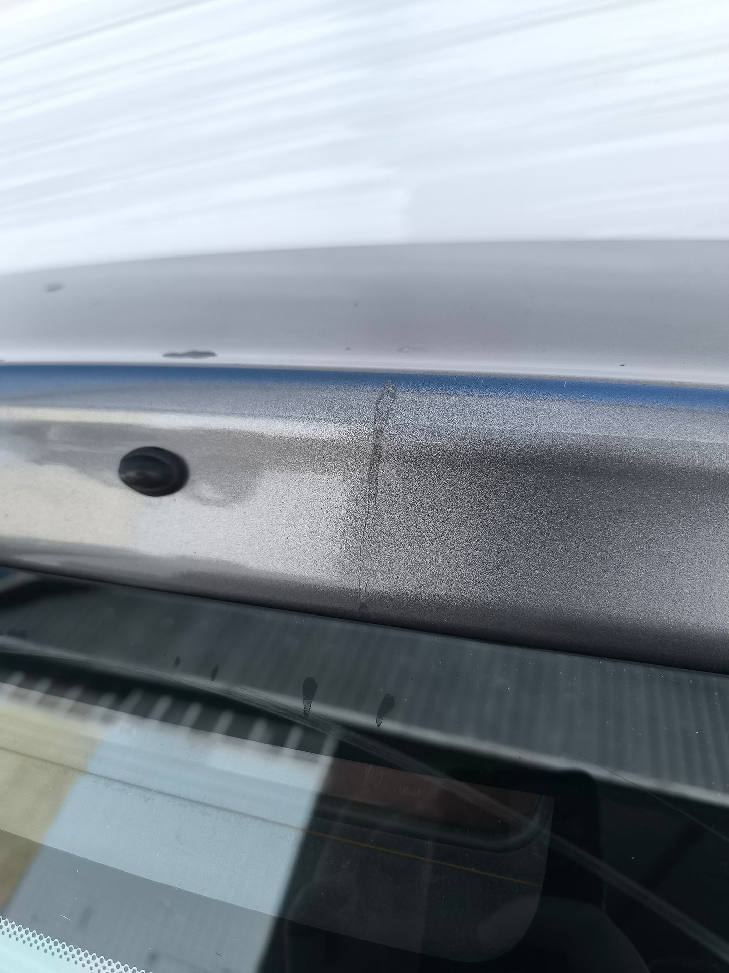 Portellone posteriore grigio quarzo Fiat 500 anno 2010 ecoAG7891